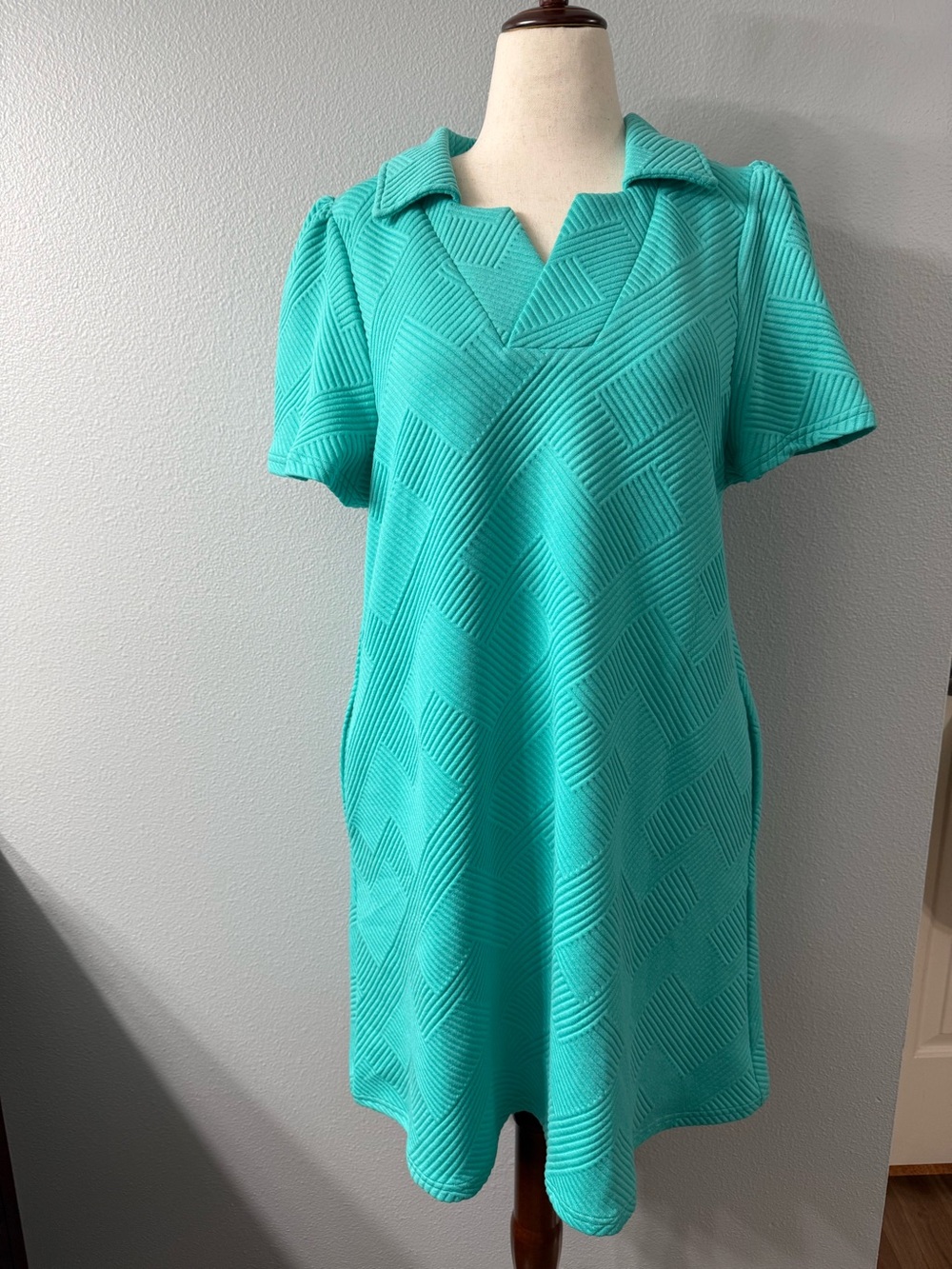 See and Be Seen Puff Sleeve Textured Dress with Pockets, NWT Size Large